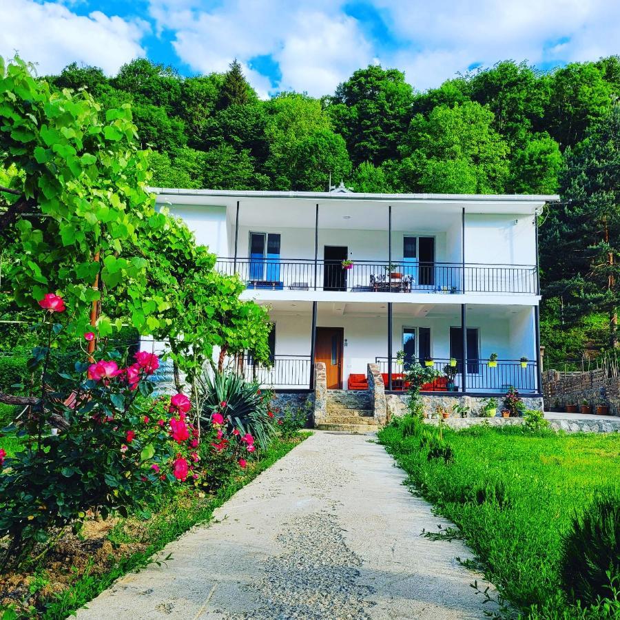 Family Hotel Mountain Panorama Боржомі Екстер'єр фото
