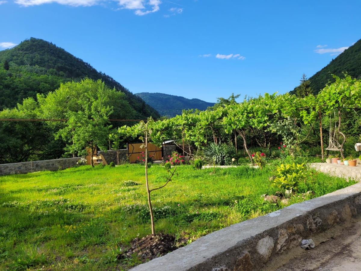 Family Hotel Mountain Panorama Боржомі Екстер'єр фото