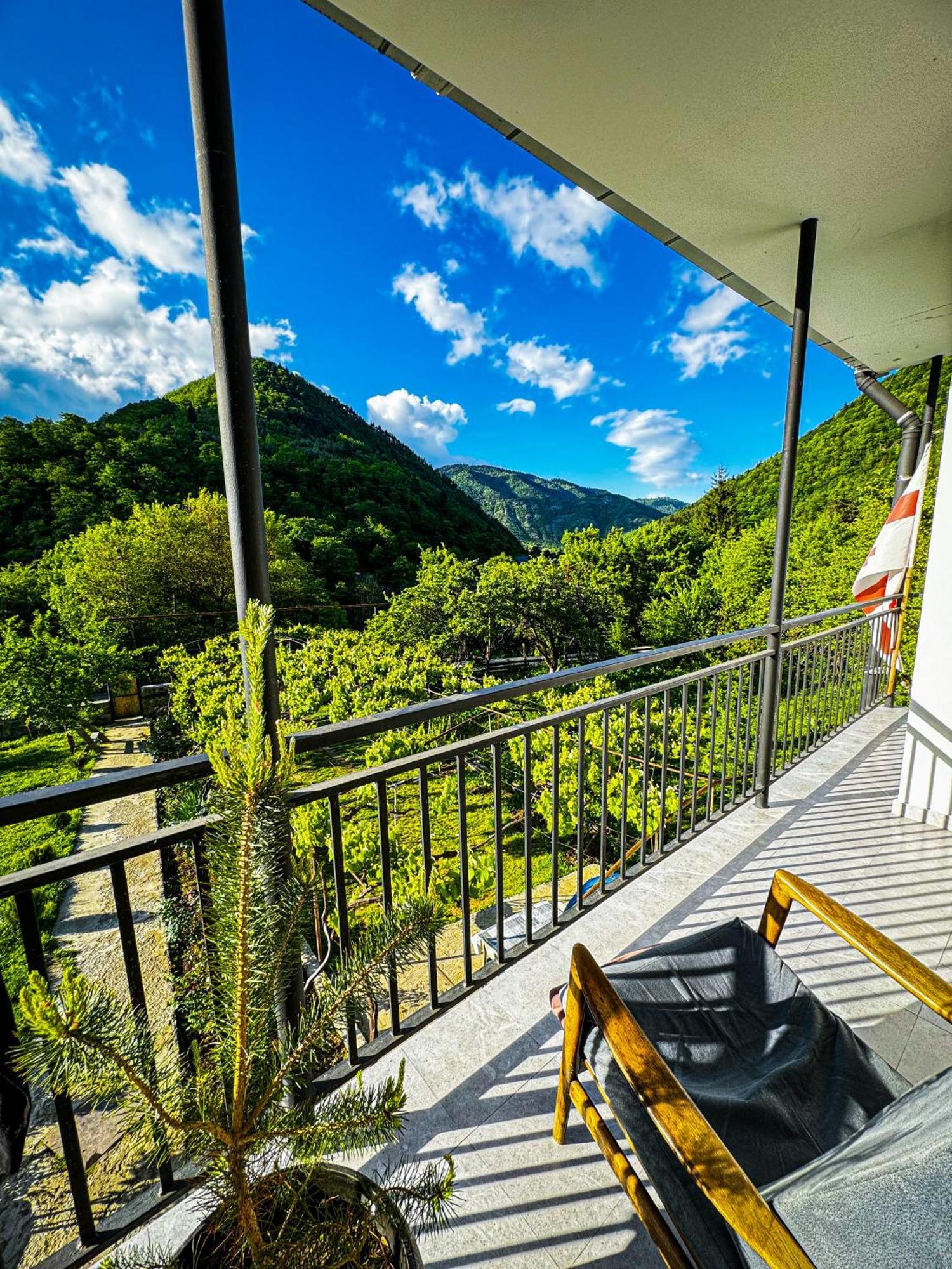Family Hotel Mountain Panorama Боржомі Екстер'єр фото