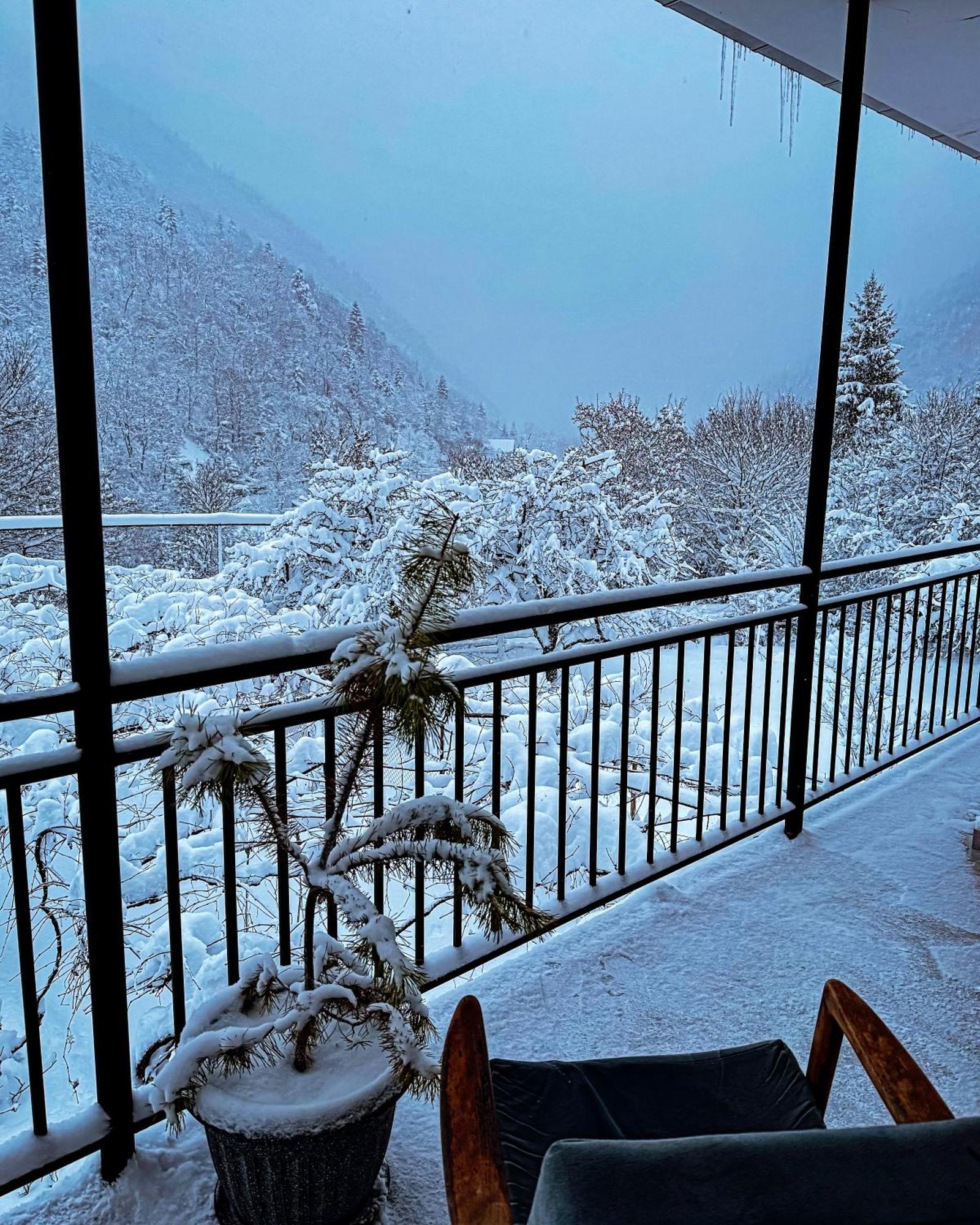 Family Hotel Mountain Panorama Боржомі Екстер'єр фото